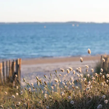 Astrida By Interhome Apartment Carnac
